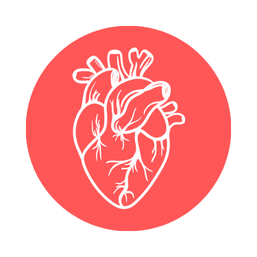 Cardiology
