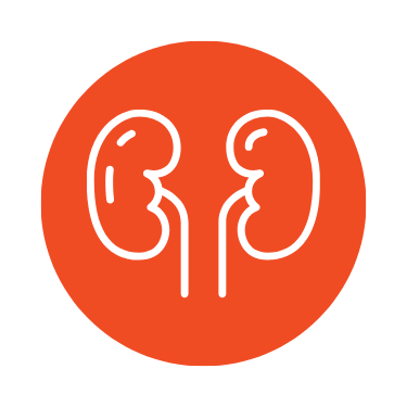Nephrology