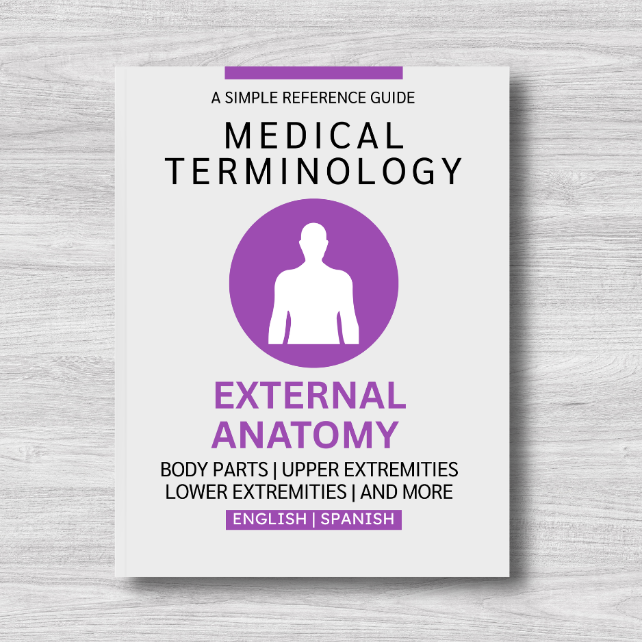 External Anatomy Medical Terminology: A Simple Reference Guide (English & Spanish)