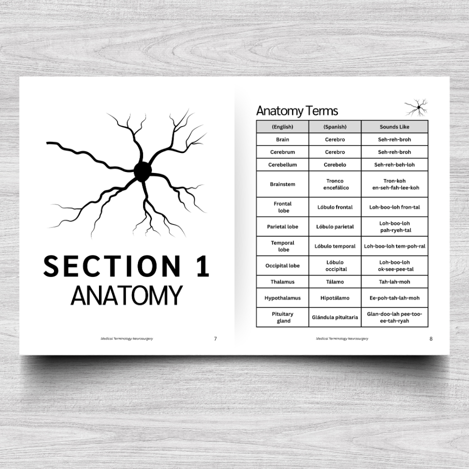 Neurosurgery Medical Terminology: A Simple Reference Guide (English & Spanish)