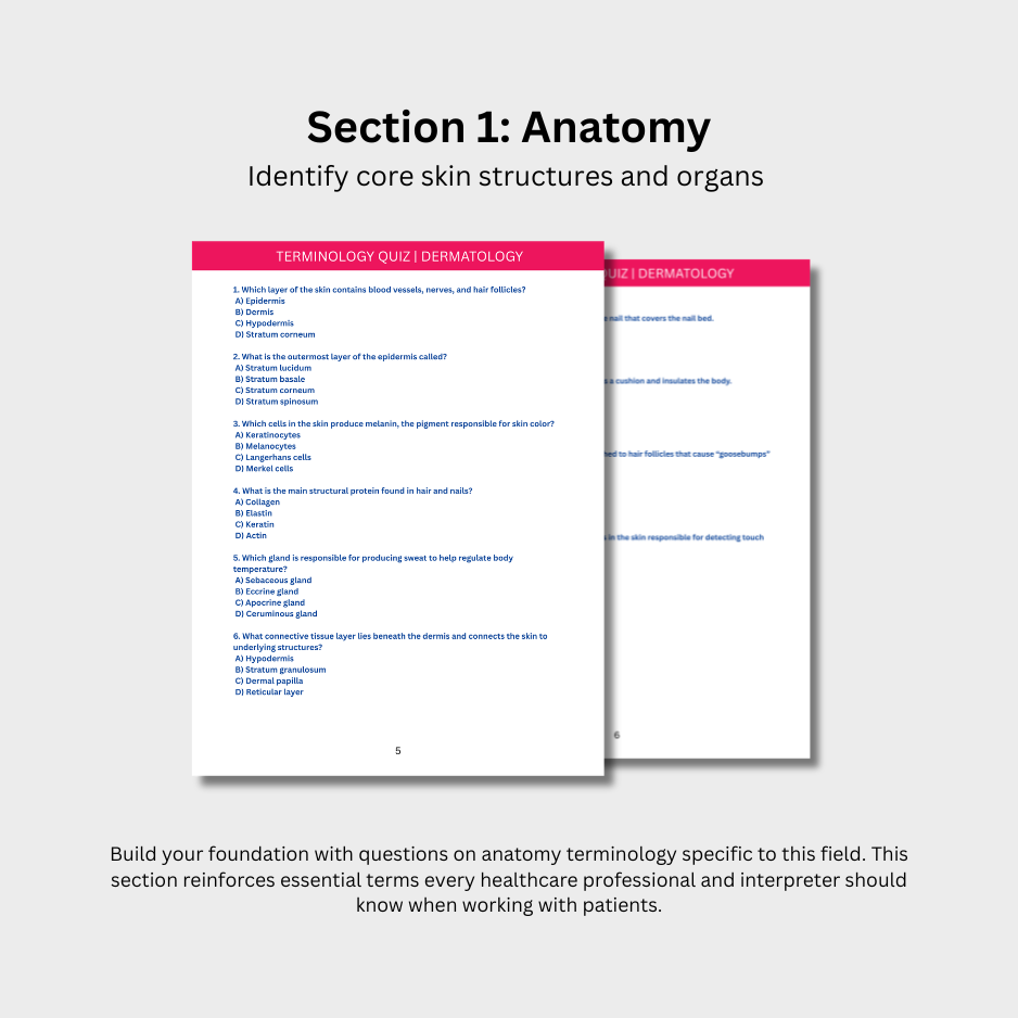 Dermatology Terminology Quiz (Digital Download)
