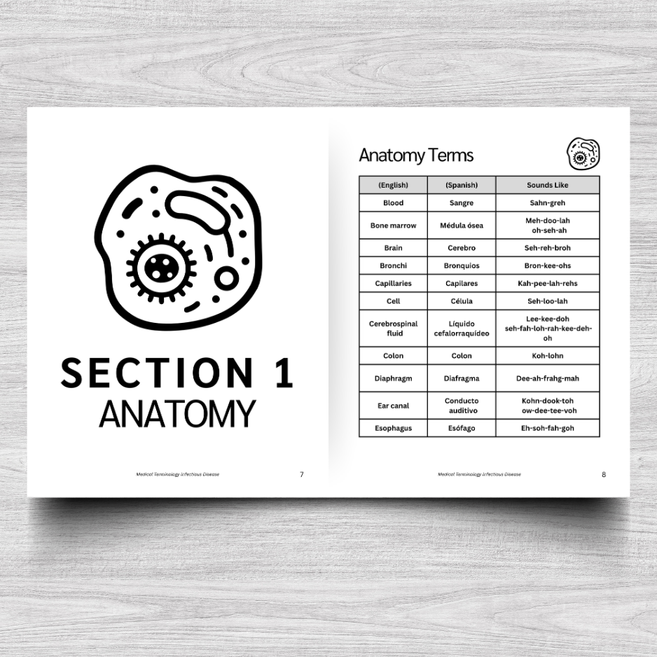 Infectious Disease Medical Terminology: A Simple Reference Guide (English & Spanish)