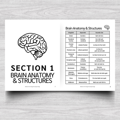 Neuropsychology Medical Terminology: A Simple Reference Guide (English & Spanish)