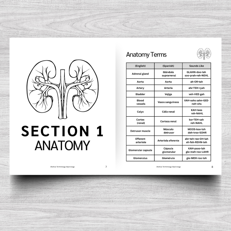 Nephrology Medical Terminology: A Simple Reference Guide (English & Spanish)