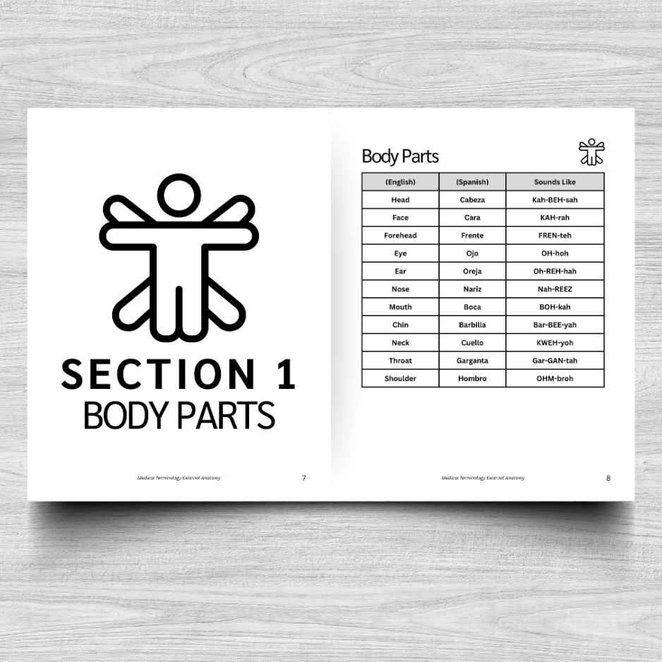 External Anatomy Medical Terminology: A Simple Reference Guide (English & Spanish)