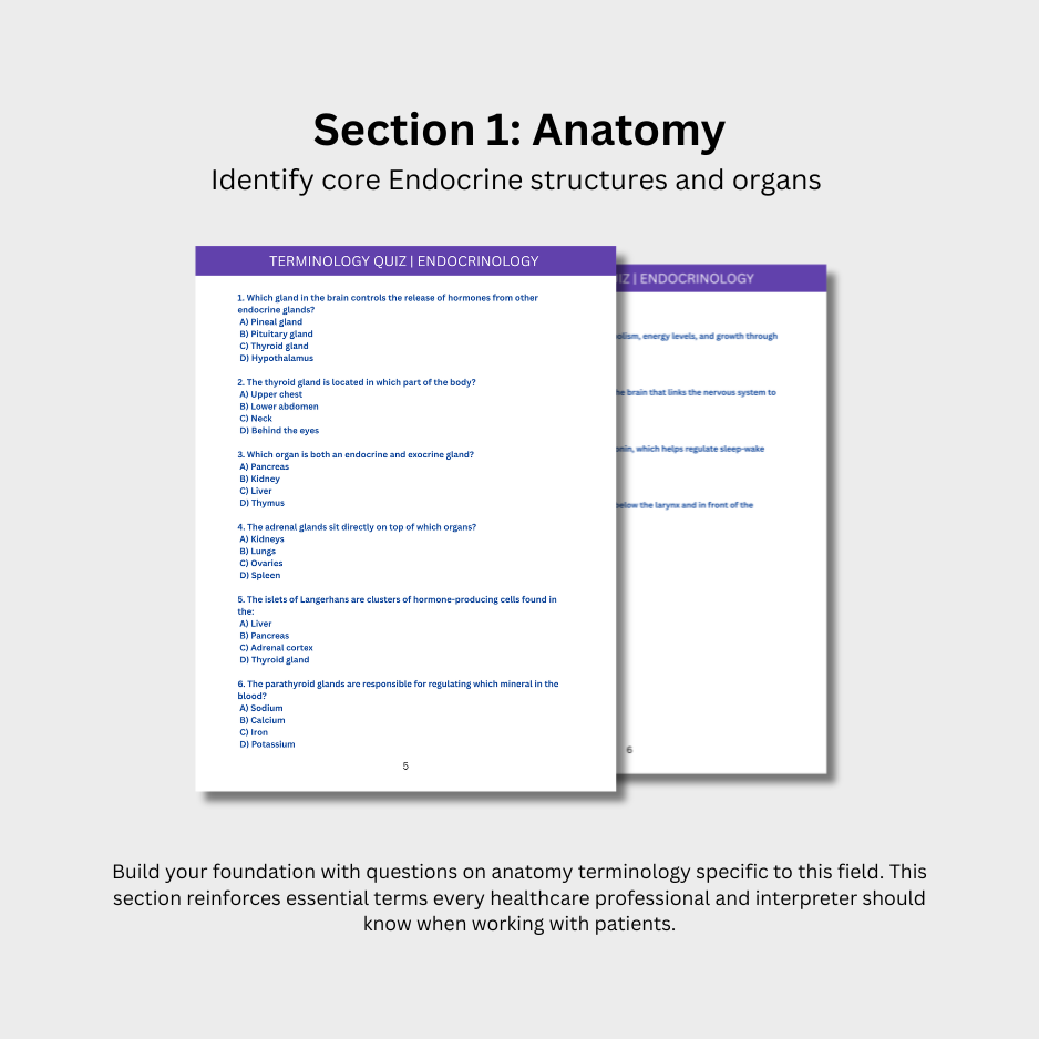 Endocrinology Terminology Quiz (Digital Download)
