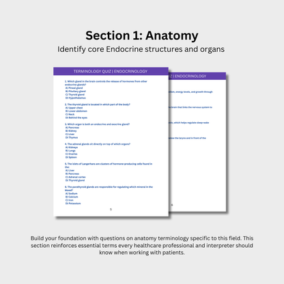 Endocrinology Terminology Quiz (Digital Download)