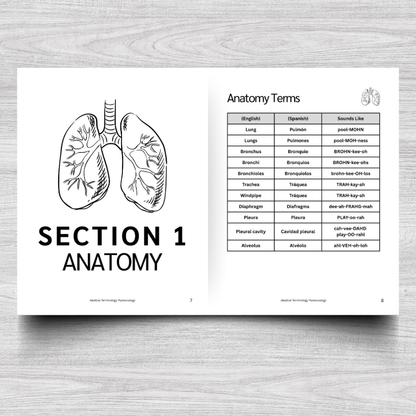 Pulmonology Medical Terminology: A Simple Reference Guide (English & Spanish)