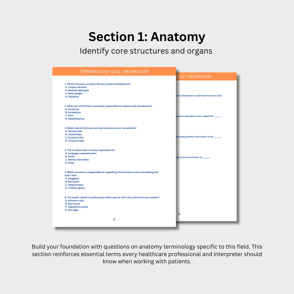 Neurology Terminology Quiz (Digital Download)