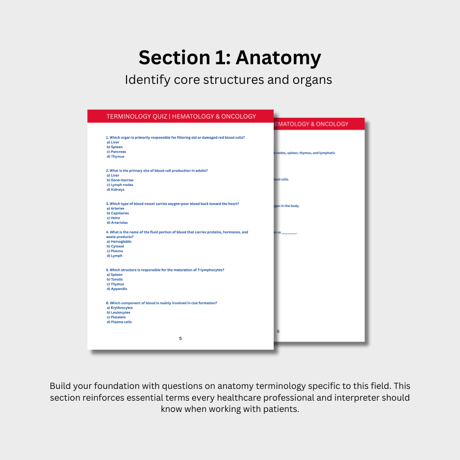 Hematology & Oncology Terminology Quiz (Digital Download)