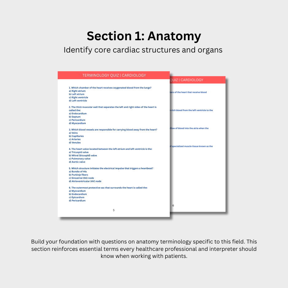 Cardiology Terminology Quiz (Digital Download)