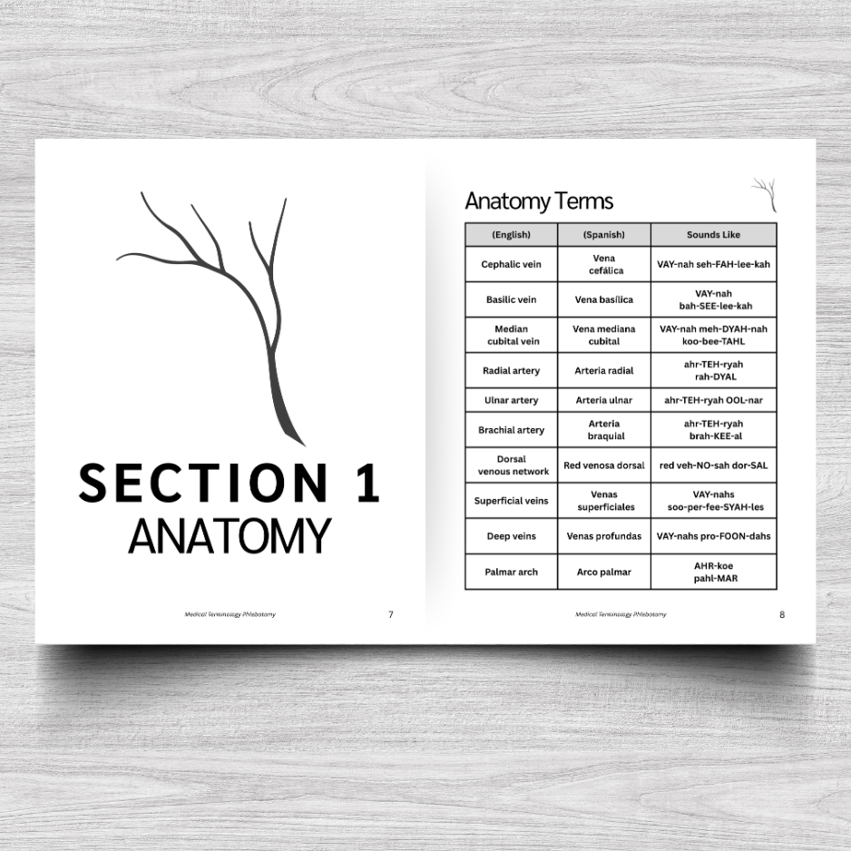 Phlebotomy Medical Terminology: A Simple Reference Guide (English & Spanish)
