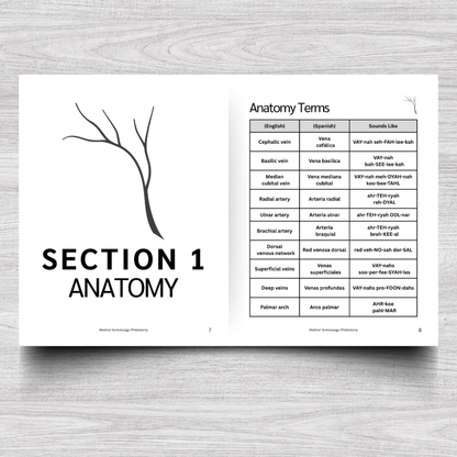Phlebotomy Medical Terminology: A Simple Reference Guide (English & Spanish)