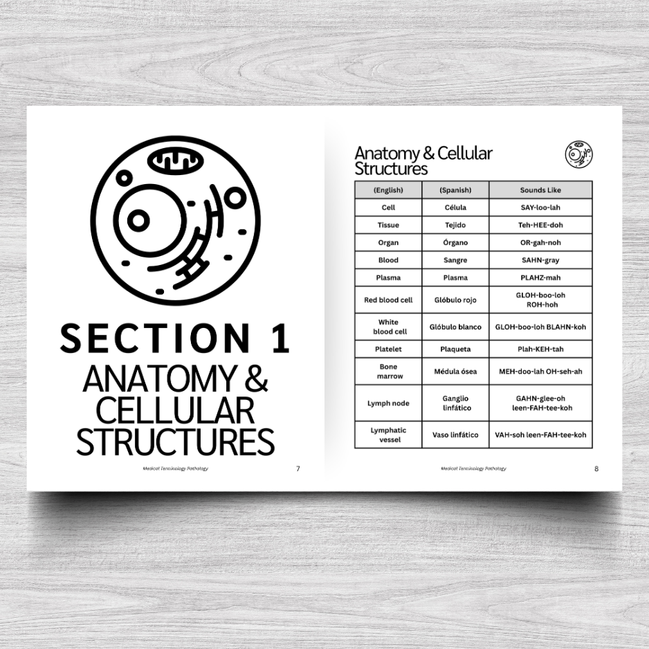 Pathology Medical Terminology:  A Simple Reference Guide (English & Spanish)