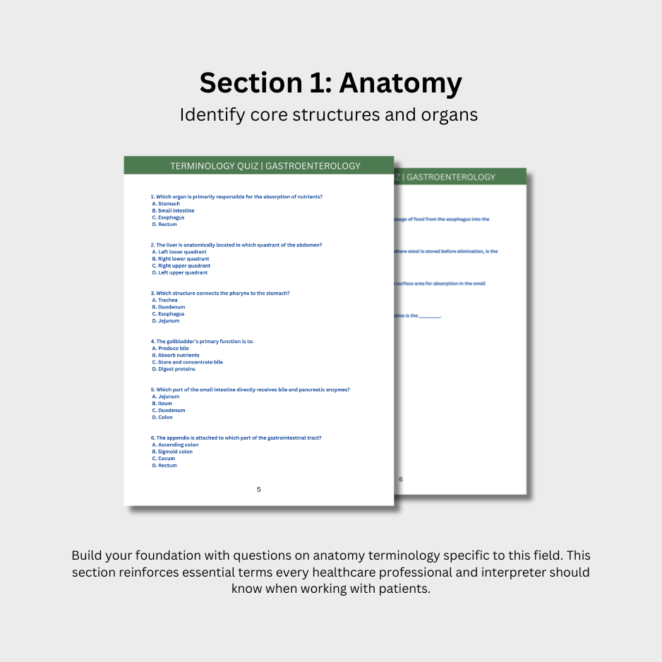Gastroenterology Terminology Quiz (Digital Download)