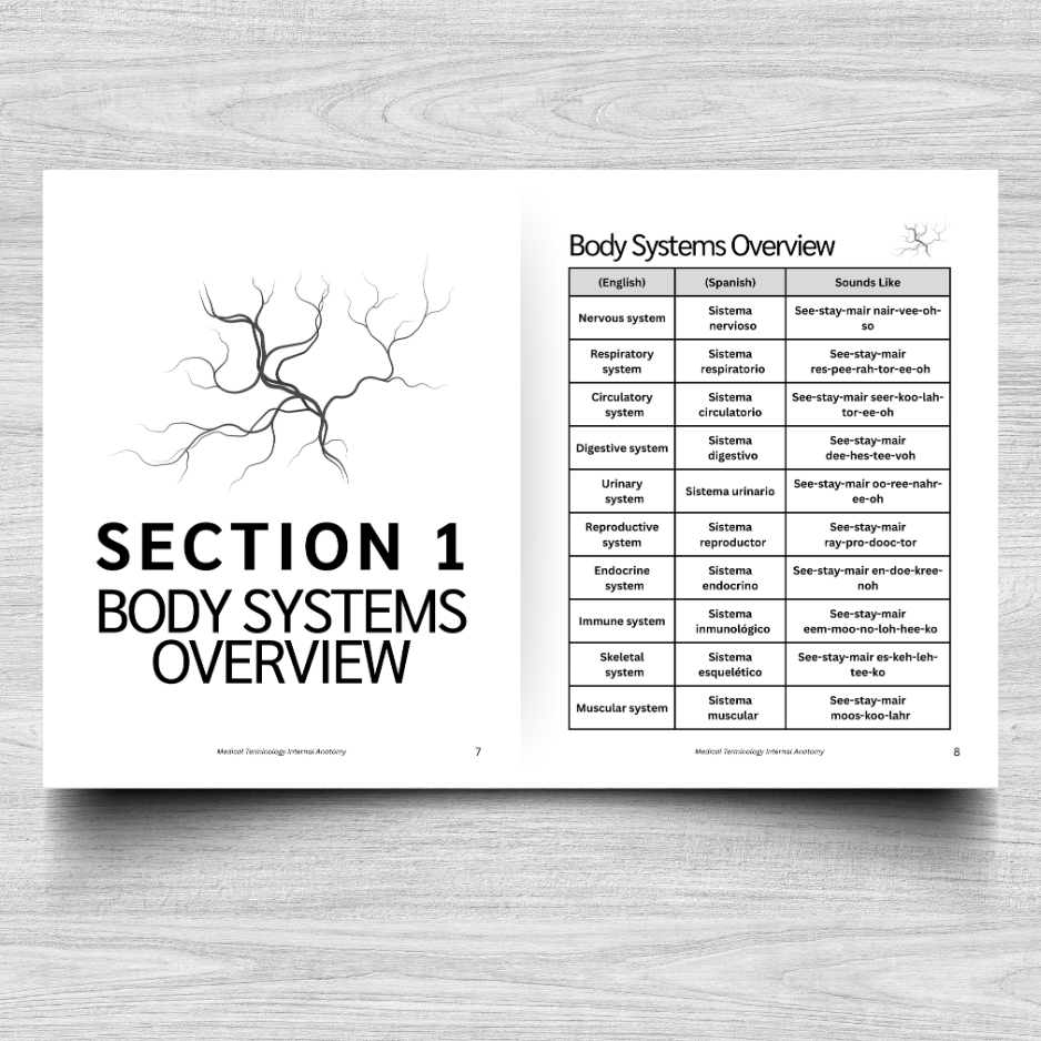 Internal Anatomy Medical Terminology: A Simple Reference Guide (English & Spanish)