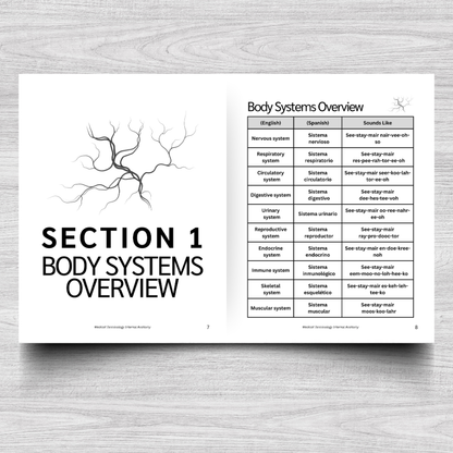 Internal Anatomy Medical Terminology: A Simple Reference Guide (English & Spanish)