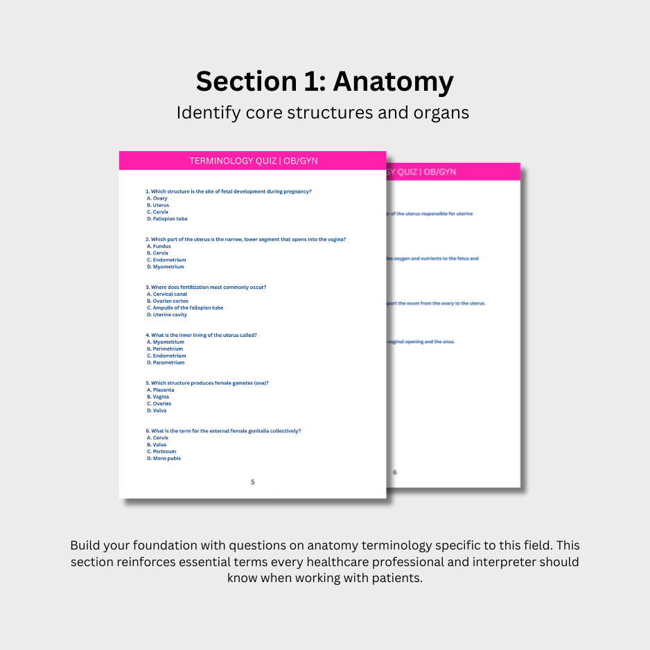 OB-GYN Terminology Quiz (Digital Download)