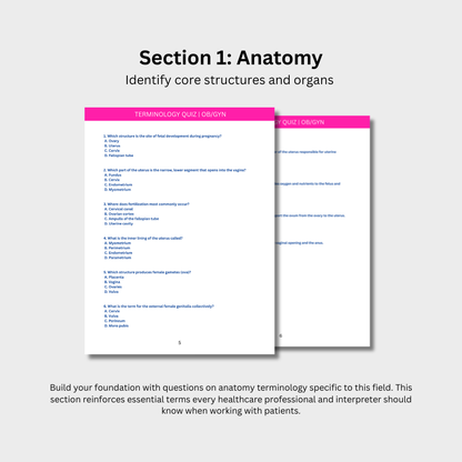 OB-GYN Terminology Quiz (Digital Download)