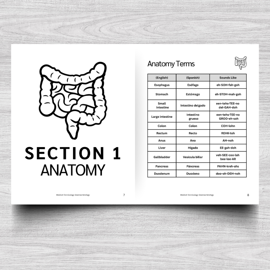 Gastroenterology Medical Terminology: A Simple Reference Guide (English & Spanish)