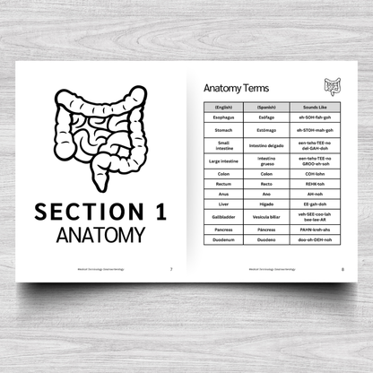 Gastroenterology Medical Terminology: A Simple Reference Guide (English & Spanish)