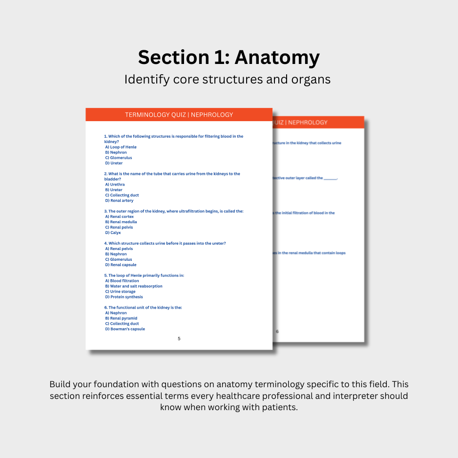 Nephrology Terminology Quiz (Digital Download)