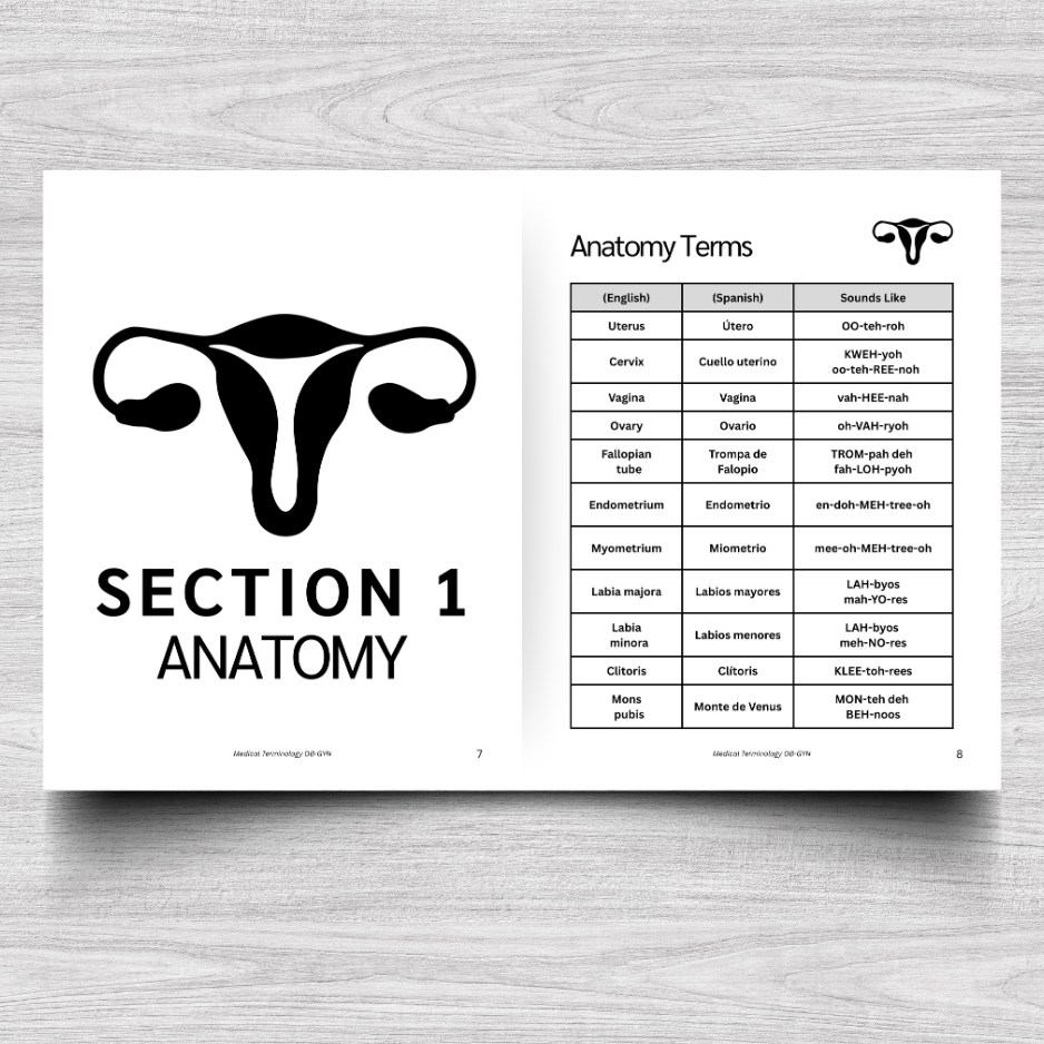 OB-GYN Medical Terminology: A Simple Reference Guide (English & Spanish)