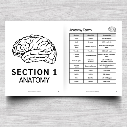 Radiology Medical Terminology: A Simple Reference Guide (English & Spanish)