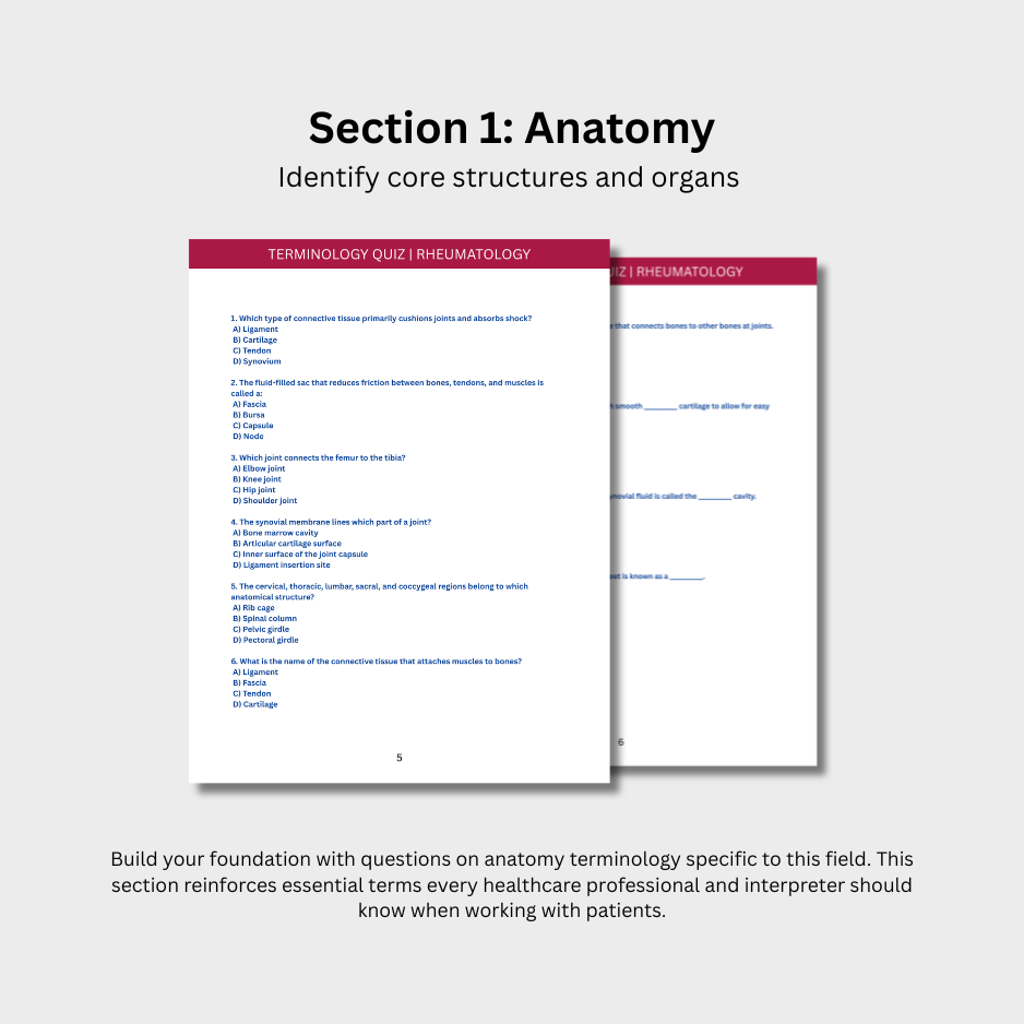 Rheumatology Terminology Quiz (Digital Download)