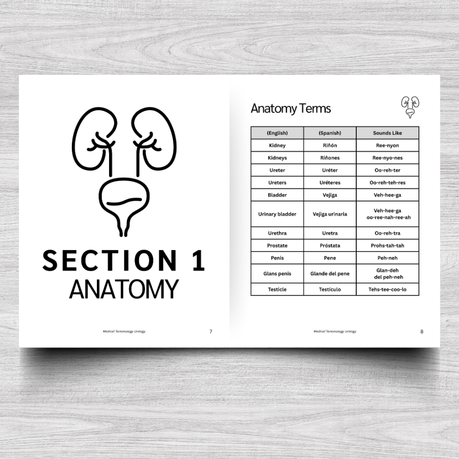 Urology Medical Terminology: A Simple Reference Guide (English & Spanish)
