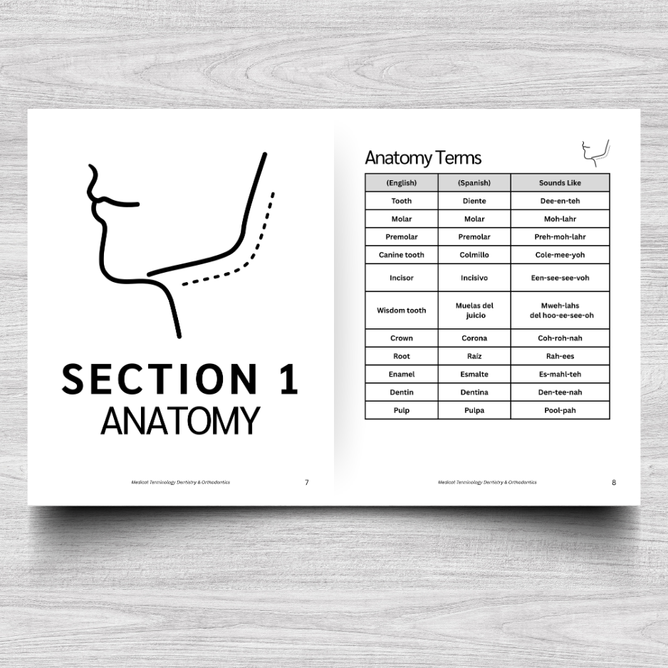 Dentistry & Orthodontics Medical Terminology: A Simple Reference Guide (English & Spanish)