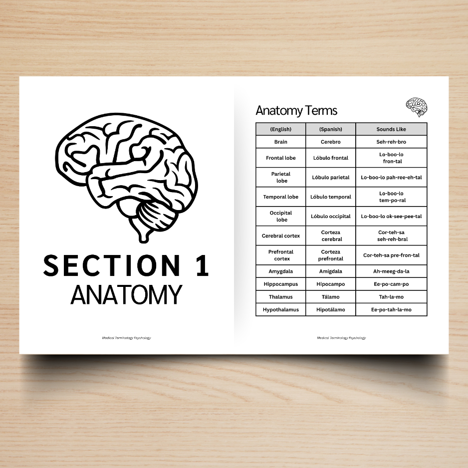 Mental Health & Administration Medical Terminology Guide (English & Spanish): The Complete Series Guide | Volume 6