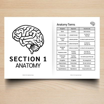 Mental Health & Administration Medical Terminology Guide (English & Spanish): The Complete Series Guide | Volume 6