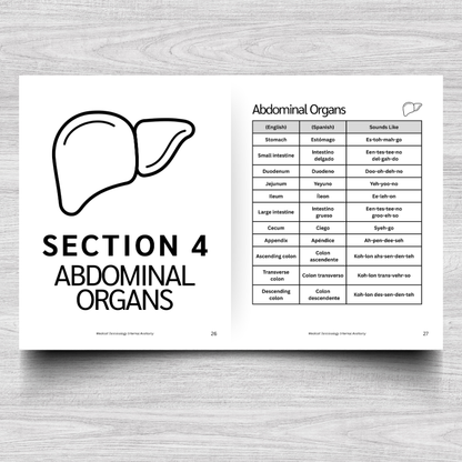 Internal Anatomy Medical Terminology: A Simple Reference Guide (English & Spanish)