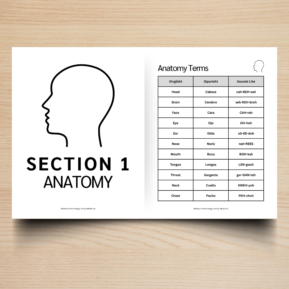 Primary Care & Women’s Care Medical Terminology Guide (English & Spanish): The Complete Series Guide | Volume 4