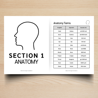 Primary Care & Women’s Care Medical Terminology Guide (English & Spanish): The Complete Series Guide | Volume 4