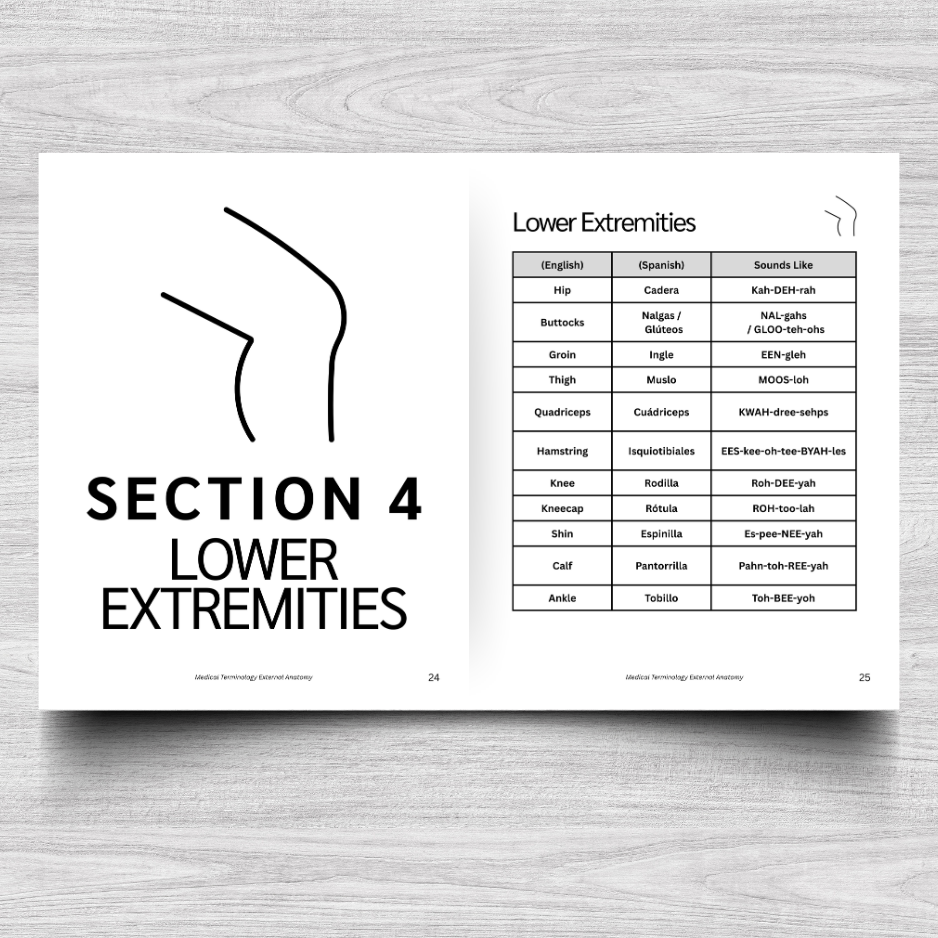 External Anatomy Medical Terminology: A Simple Reference Guide (English & Spanish)