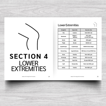 External Anatomy Medical Terminology: A Simple Reference Guide (English & Spanish)