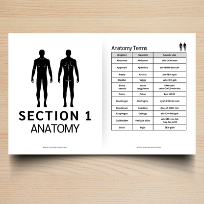 Surgical Specialties Medical Terminology Guide (English & Spanish): The Complete Series Guide | Volume 2
