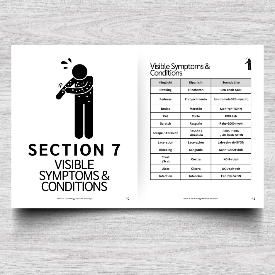 External Anatomy Medical Terminology: A Simple Reference Guide (English & Spanish)