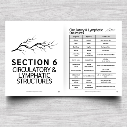 Internal Anatomy Medical Terminology: A Simple Reference Guide (English & Spanish)