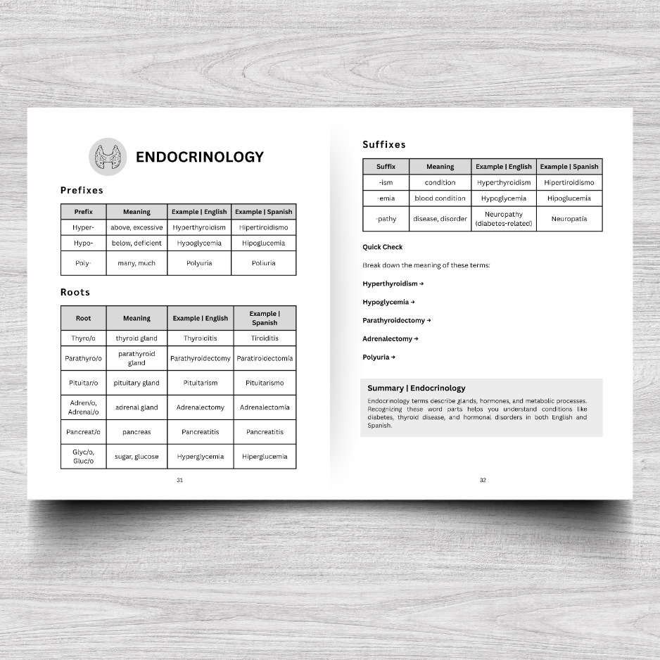 The Basics of Medical Terminology Foundations | Prefixes, Roots, & Suffixes: An Interactive Workbook