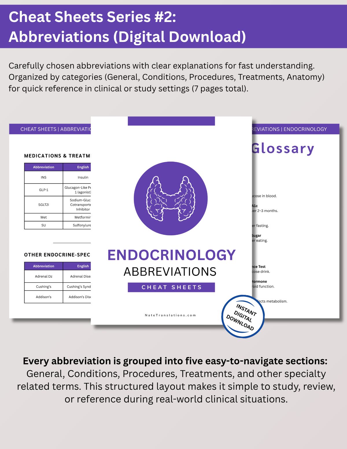Endocrinology Study Bundle: Reference Guide, Cheat Sheets & Quiz