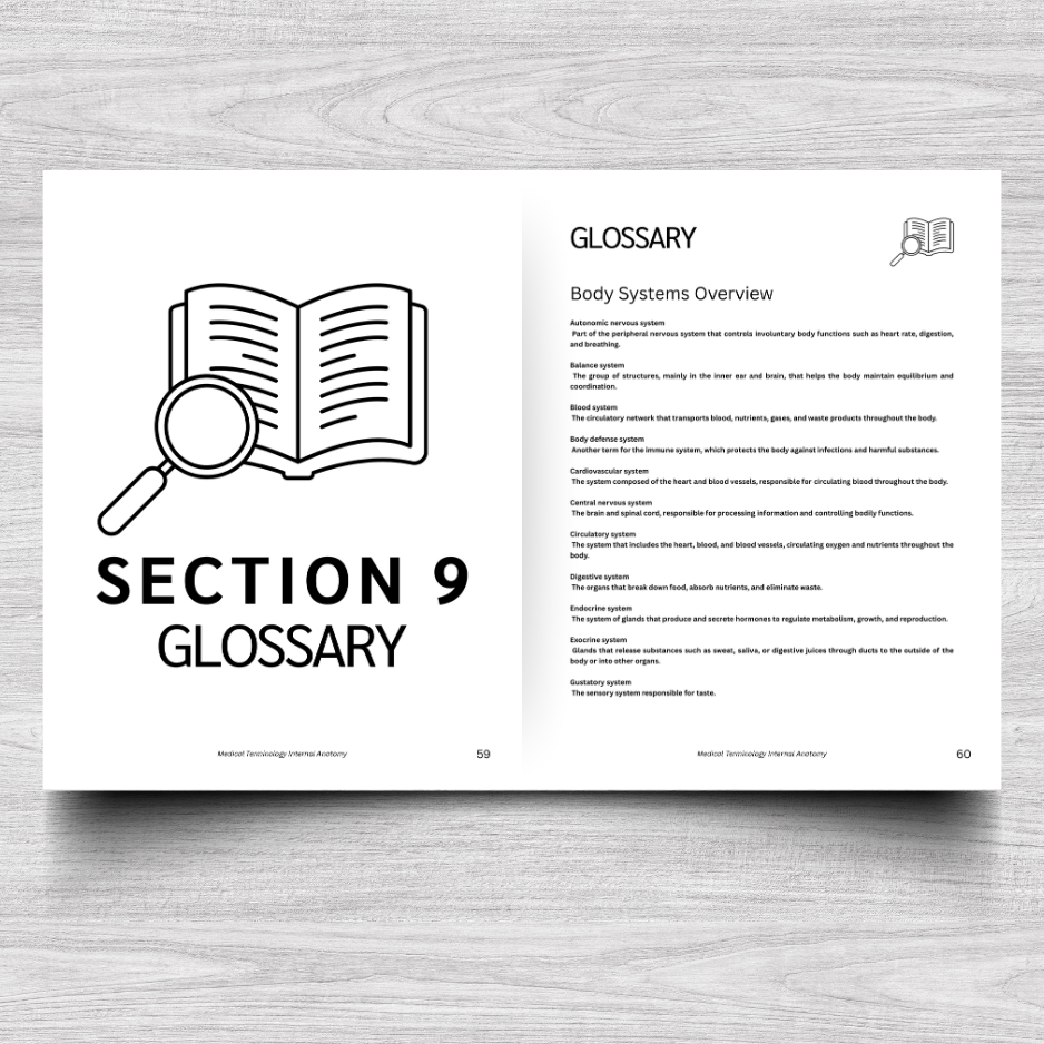 Internal Anatomy Medical Terminology: A Simple Reference Guide (English & Spanish)