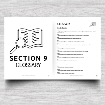 External Anatomy Medical Terminology: A Simple Reference Guide (English & Spanish)